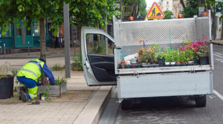 Plantation de fleurs en ville.